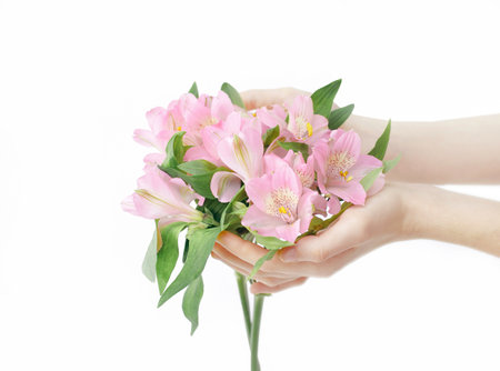 bouquet of flowers in female hands isolated on a light backgrouの写真素材