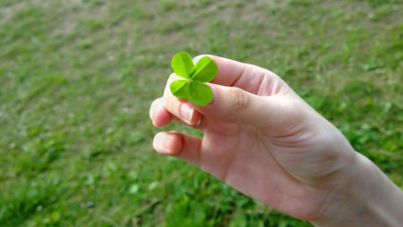 leaf clover in the hands of the ecologistの写真素材