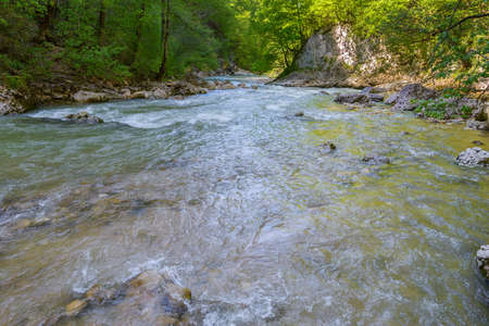 Mountain river flowing among the stone coasts