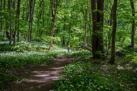 The girl walking along the sunlit path in the forestの写真素材