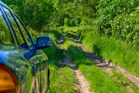 The blue car is parked on a forest road. Focus on the treesの写真素材