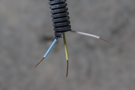 Three cores of wires protrude from the protective corrugation. Colors of wires in electrics.