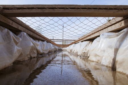 A channel filled with water, covered with a net, on which you need to crawl. Obstacle for the...