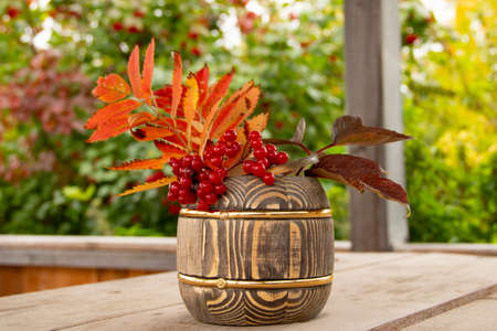 Autumn still life. The red leaves and I lie in a wooden barrel.の写真素材