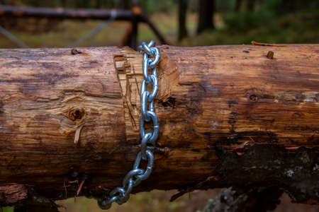 A sports equipment for walking on a log, built in the forest from wood and chains. Competition...