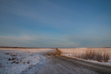 Winter roads of the North. Dirt frozen uneven road stretches through many kilometers of snow.の写真素材