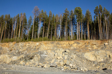 The beauty of a huge career in the Urals. Pine trees grow on quarries of a rocky quarry, mine...