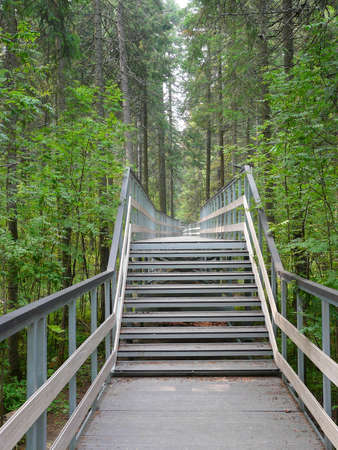 Modern paths and stairs for walking in the park. New walking trails in the Chugas nature reserve in...