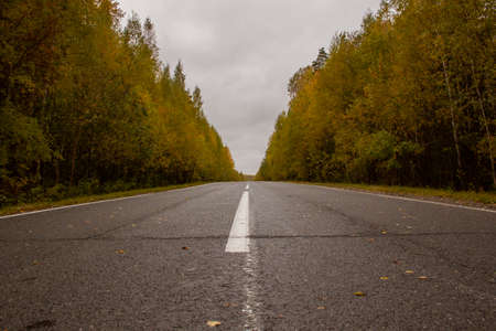 Autumn track on the border of the Khanty-Mansiysk Autonomous Okrug and the Sverdlovsk Region in Russia. A beautiful road in the fall between the Khanty-Mansi Autonomous Okrug and the Sverdlovsk Regionの写真素材