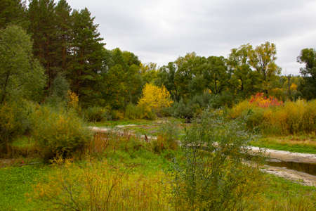 Autumn forest over a frozen stream. Autumn landscape in the city of Shadrinsk, Kurgan region in Russia.の写真素材