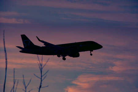 The plane comes in to land at the airport against the background of dawn. Passenger airliner flying at low altitude with landing gear released against the background of dawnのeditorial素材