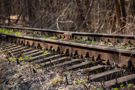 Railway in the forest. A single-track old railway in the forest. The rails of the railway pass through the forestsの写真素材