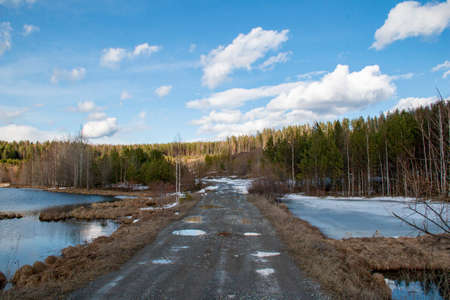 Dirt road through the spring forest. The road through the forest near the Lakiya River in the Ivdelsky district of the Sverdlovsk regionの写真素材