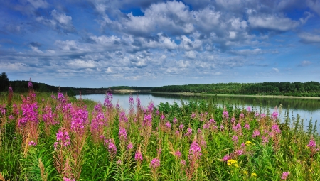 Irtysh River, Western Siberia