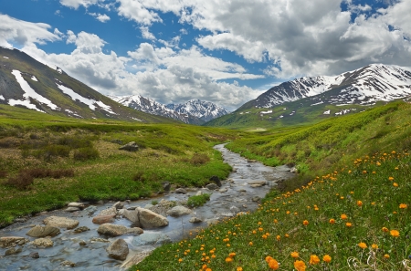 Mountain lake, West Siberia, Altai mountains, Chuya ridge の写真素材