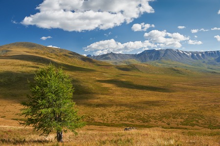 Mountains, West Siberia, Altai mountains, Chuya ridge.の写真素材