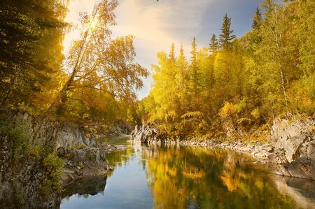 Mountain river, Russia, Siberia, Altai mountains.Mountain river flowing through the autumn...