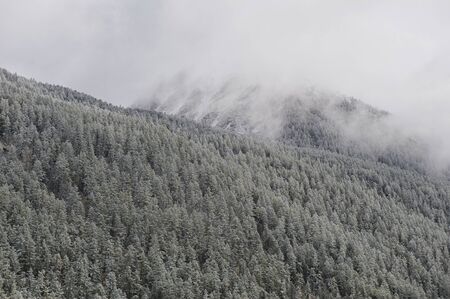 Mountain Russia West Siberia Altai mountains. Beautiful landscape snow-covered winter forest in the...
