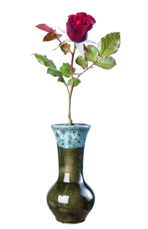 Red rose in a ceramic vase, isolate on a white background, close-up photography.の写真素材