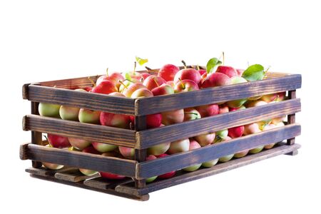 Red and yellow apples with green leaves in a wooden crate. Isolate on a white background. The photo.の写真素材