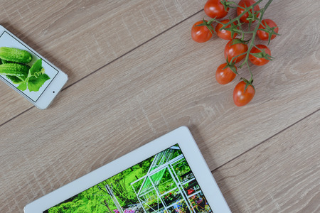Natural and ecological life. Green garden in your phone and tablet. ?herry tomatoes on a wooden floor.の写真素材