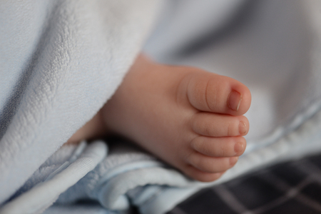 Tender little baby's foot under a blue blanket.の写真素材
