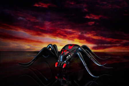 Black spider on the background of a dramatic sunsetの写真素材