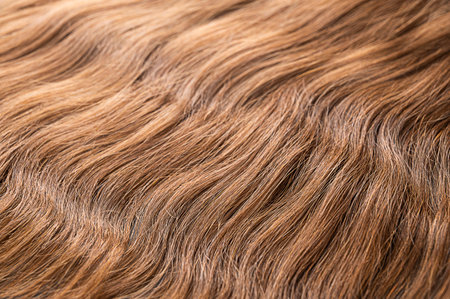 Hair extension close-up with blur.