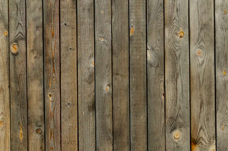 The texture of an old unpainted wood fence.の写真素材