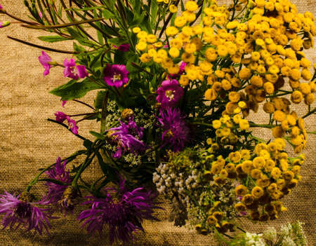 A bouquet of yellow flowers of tansy and wildflowers. 1の写真素材