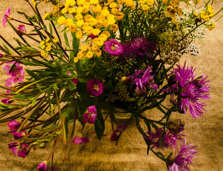 A bouquet of yellow flowers of tansy and wildflowers. 2の写真素材