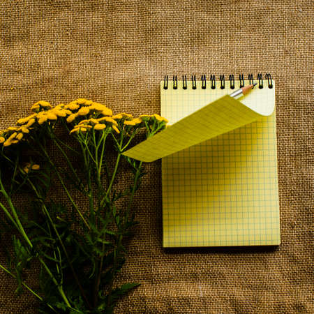 tansy, flowers and notepad. 1の写真素材