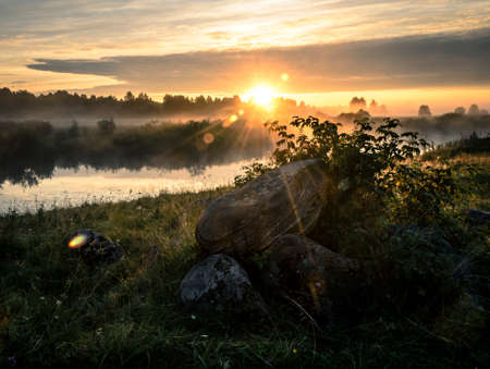 Summer dawn and fog on a quiet river.の写真素材