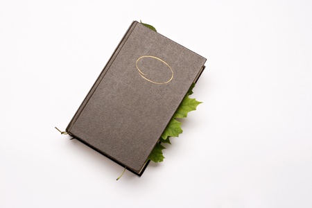 Closeup book with maple leaves between the pages