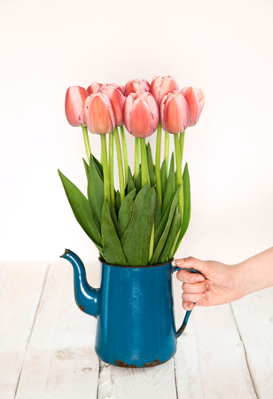 hand with a bouquet of pink tulips in an old blue jug on a white wooden tableの写真素材