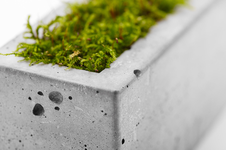 Closeup of fashionable concrete pot on a white backgroundの写真素材