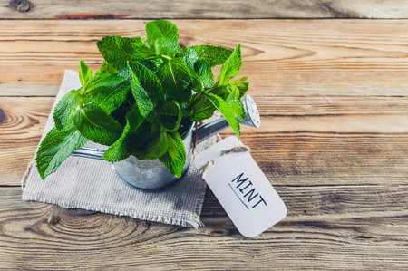 Fresh mint leaves in a vintage watering can on a wooden background. Top view