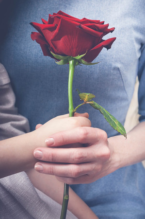 Girl gives her mother a rose. Mom and daughter hands. Mother's day conceptの写真素材