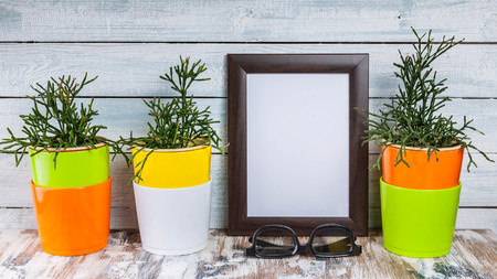Mockup of empty photo frames and plants in multi-colored pots on a light wooden background.
