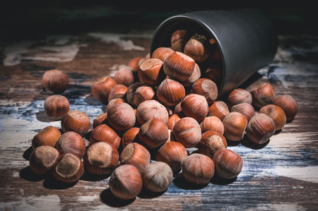 Hazelnut nuts in a dark glass on a dark background. Low key lighting.の写真素材