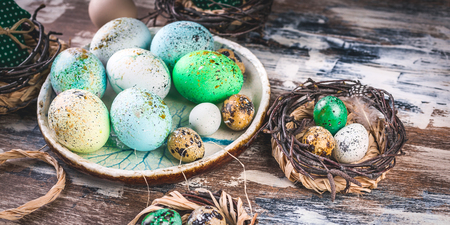 Banner. Easter eggs on a plate and in a small nest on colorful surface.の写真素材