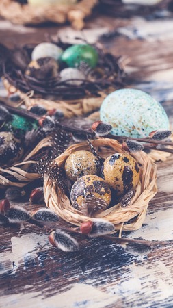 Easter eggs in nests. Easter decorations. Rustic surface. Selective focusの写真素材
