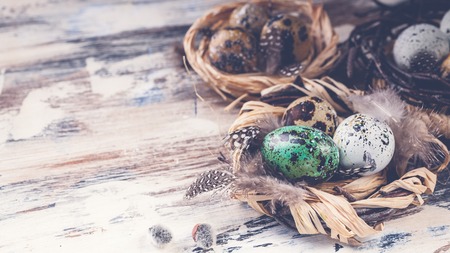Easter composition. Easter eggs in nests. Rustic surface. Copy spaceの写真素材