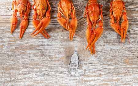 Food banner. Delicious boiled crawfish on wood background. Copy spaceの写真素材