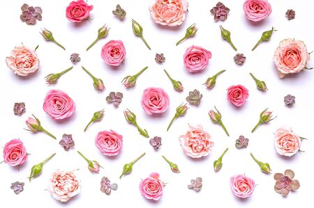 Flower pattern: flowers roses, buds and succulents on a white background. Top viewの写真素材