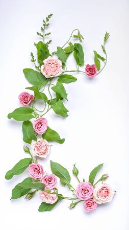 Floristic vertical wedding composition: bindweed leaves, flowers and rosebuds on a white background. Top viewの写真素材