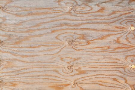 The texture of natural wood. Background of pine plywood