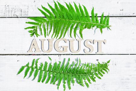 Word August and fern leaves on a white wooden rustic background. Summer flat lay compositionの写真素材