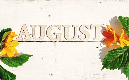 Horizontal banner: The word August and yellow flowers and green leaves on a white wooden rustic...