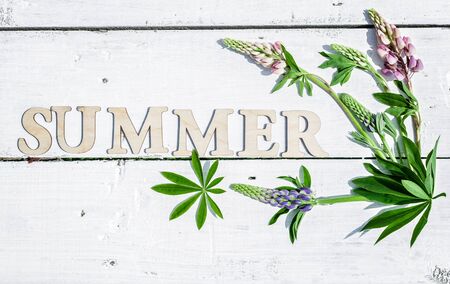 Word summer and lupine flowers on a light wooden background. Flat lay summer compositionの写真素材